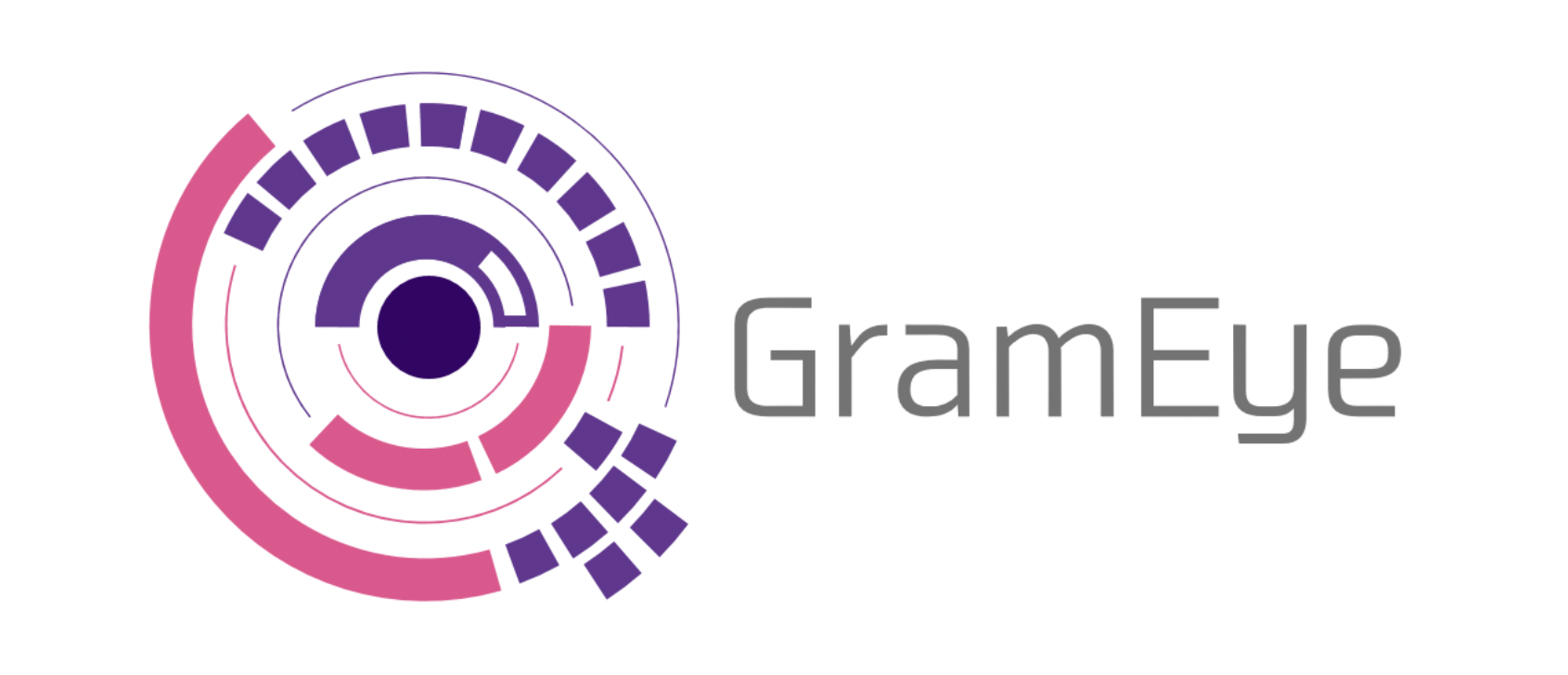 GramEye Log
